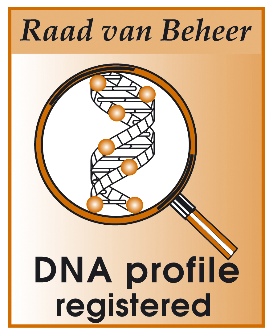 DNA